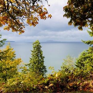 Meet your Posher, Claudia